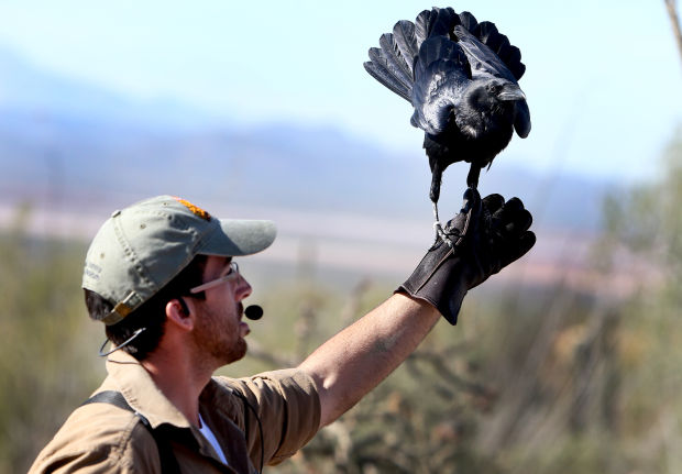 Raptor Free Flight
